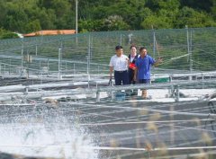 持续加大授信投放力