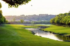 的别墅是：墅不离园